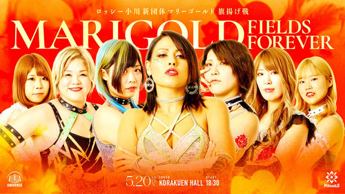 Marigold Fields Forever