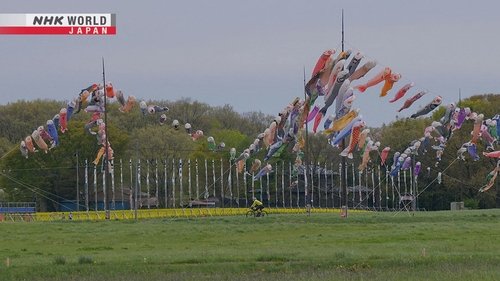 Background image for Tochigi - The Cycle of Life