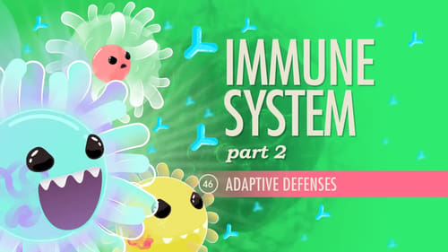 Immune System, Part 2