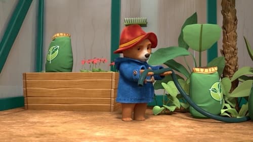 Paddington's Plant Problem