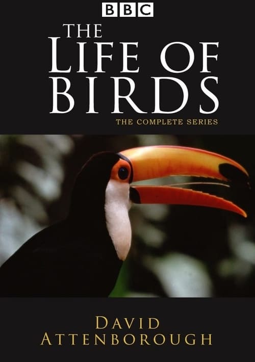 Show cover for The Life of Birds