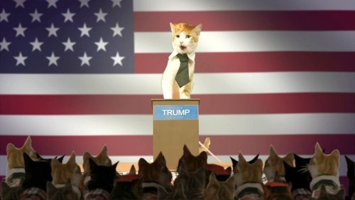 Background image for Donald Trump & Paris Hilton