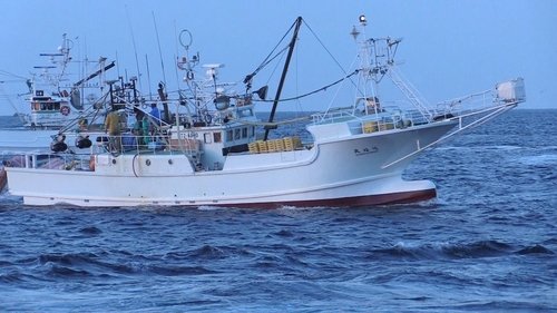 Background image for No Going Back: New Ideas from a Tsunami-hit Fishing Town