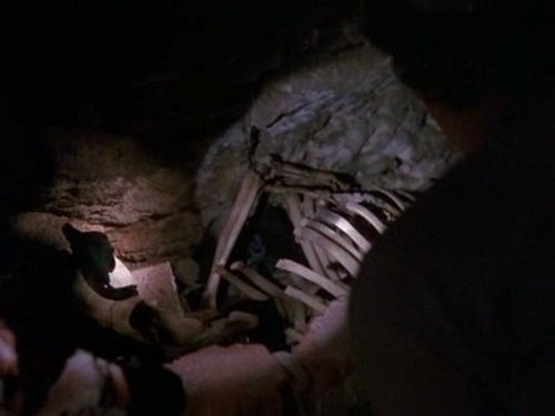Background image for In Memory Of